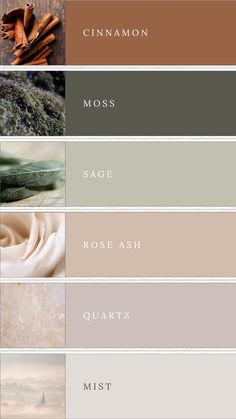 A color palette featuring soft earth tones: brown, moss green, sage green, muted rose, blush, and grey. These harmonious and natural hues create a soothing and elegant combination, perfect for branding, design projects, or weddings. Earthy Wedding Pallet, Muted Earth Tones Colour Palettes, Earthly Colour Palette, Water Tones Colour Palettes, Moss Green Bedroom Colour Palettes, Earth Colour Palette Nature, Apartment Colour Palettes, Oak Colour Palette, Beautiful Colour Palettes