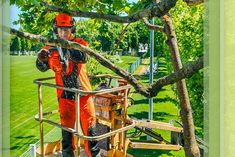 Top 12 Questions to ask a tree removal service Remove Tree Sap, 12 Questions To Ask, Tree Memes Funny, 12 Questions, Tree Quotes, Asking The Right Questions