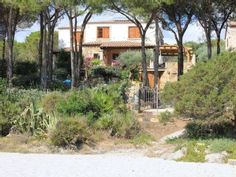 the house is surrounded by trees and bushes