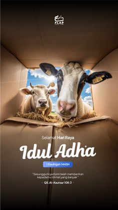 two cows are peeking out from behind a cardboard box with the words'dul adha '