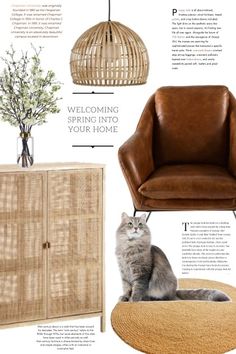 a cat sitting on top of a brown chair next to a wooden cabinet and lamp