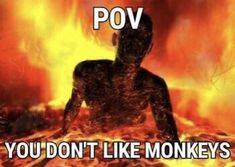 a man sitting in front of a fire with the caption pov you don't like monkeys