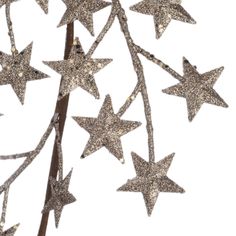 silver glittered stars are hanging from a tree branch on a white background with clippings