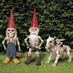 three skeleton garden gnomes are standing in the grass