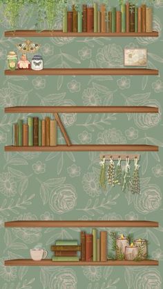 three shelves with books and plants on them