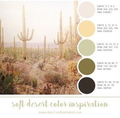 the desert is full of cacti and cactus plants, with different shades to choose from