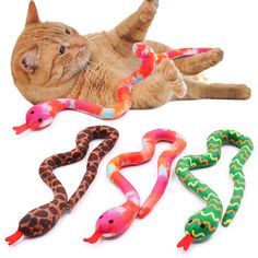 a cat laying on its back next to several snake toys