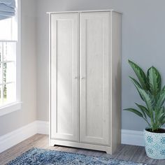 a white cabinet sitting next to a potted plant on top of a blue rug