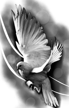 a white bird flying through the air with it's wings spread