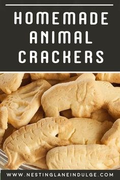 Graphic for Pinterest of How to make Homemade Animal Crackers Chocolate Animal Crackers, Homemade Animal Crackers, Animal Crackers Recipe, Animal Cookies Recipe, Pantry Snacks, Homemade Snacks Recipes, Oats Flour, Donkey Farm