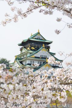 a tall white and green building surrounded by cherry blossoms