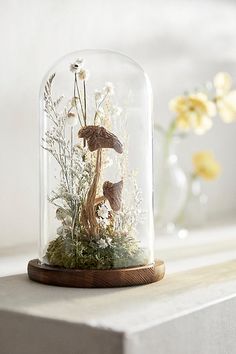 a glass clochel with mushrooms and plants inside it on a shelf next to flowers