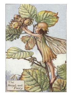 an illustration of a fairy holding onto a flower