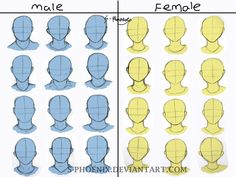 how to draw the head and shoulders of an anime character with different facial expressions, from male to female