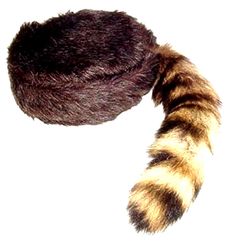 PRICES MAY VARY. Small fits youth or adult Head up to 25" Medium fits youth or adult Head up to 26" Large fits youth or adult Head up to 27" X Large fits youth or adult Head up to 28" You are buying: Davy Crockett or Daniel Boon Style Coon Skin Hat with Real TailThe cap is made of imported faux fur but looks like real fur Tail is 7 to 12" long Davy Crocket, Davy Crockett, Toro Inoue, Daniel Boone, Moonrise Kingdom, The Lone Ranger, Davos, Cat Tail, Fur Hat