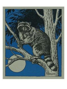 a raccoon sitting on top of a tree branch with the moon in the background