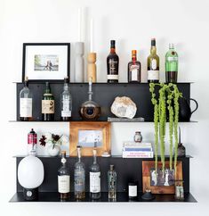 a shelf filled with bottles and liquors on top of a white wall next to a potted plant