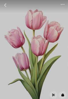 a painting of pink tulips on a white background