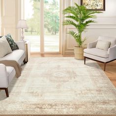 a living room area with couches, chairs and a rug