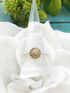 a ring sitting on top of a piece of cloth in front of some green plants