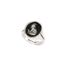 The fox, renowned for its resilience and adaptability, symbolizes a deep-seated trust in one's abilities to navigate any obstacle. This talisman is a testament to the power of self-belief and the courage to tackle any challenge head-on. Luxury Adjustable Symbolic Signet Ring, Adjustable Black Symbolic Signet Ring, Bird Signet Ring, Silver Spiritual Signet Ring With Polished Finish, Fox Signet Ring, Silver Signet Ring, Ring Sale, Sustainable Jewelry, Recycled Metal