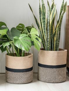 two planters with plants in them sitting on a table