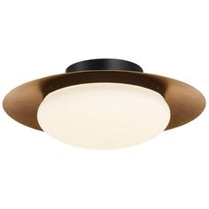 a ceiling light with an oval glass shade on the top and black metal trim around it