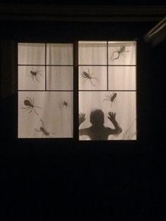 a person standing in front of a window with spider webs on it