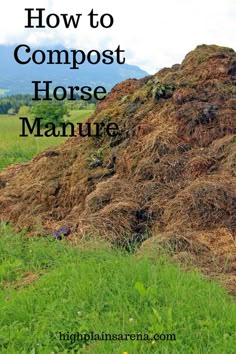 a pile of hay sitting on top of a lush green field