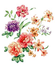 watercolor painting of flowers on a white background