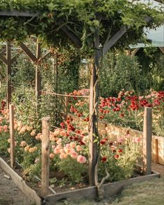 a garden filled with lots of different types of flowers and plants growing on top of each other