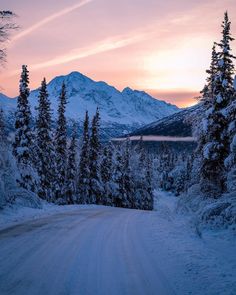 a snowy road with trees and mountains in the background