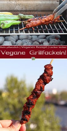 a person is holding up a skewer with meat on it and vegetables cooking on the grill