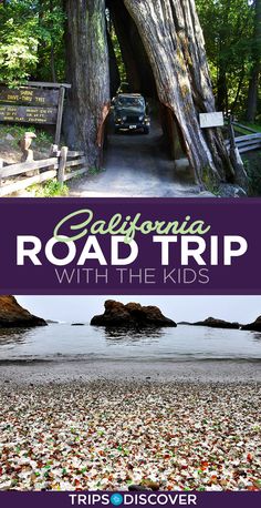 california road trip with the kids - tips to get there and other things to do