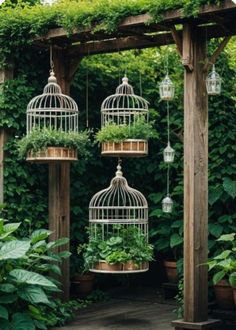 several bird cages with plants in them hanging from the side of a pergolated area