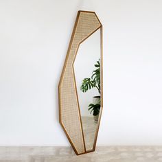 a mirror that is on the wall next to a potted plant