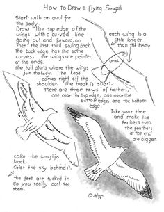 an ink drawing of seagulls flying in the sky with instructions on how to draw them