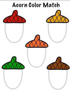 four different colored hats with the words acorn color match