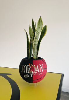 a potted plant sitting on top of a table next to a basketball shaped object