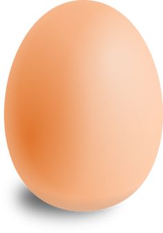 an orange egg on a white background with clippings to the side for text