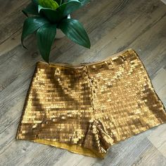 Gorgeous, Free People Gold Sequin Shorts . Nwot Great For Festival Season, Concerts ,Dress Up Or Dress Down. Perfect Statement Piece In Your Wardrobe. All Gold Outfit, Gold 2 Piece Outfit, Gold Festival Outfit, Gold Outfit Aesthetic, Gold Rave Outfit, Gold Clothes, Golden Outfit, Gold Sequin Shorts, Gold Clothing