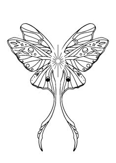 a black and white drawing of a butterfly with wings spread out, on a white background