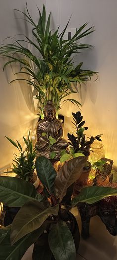 there is a buddha statue next to some plants