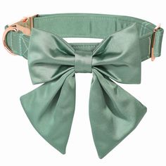 a green dog collar with a large bow tie on it's front and side