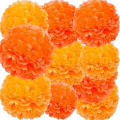 several orange and yellow flowers are arranged in the shape of a square pattern on a white background