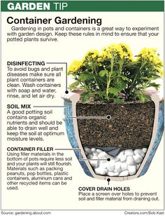 an info sheet describing how to use container gardening tips for beginners and gardeners