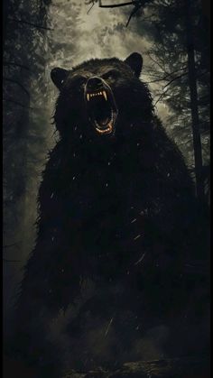 a large black bear with its mouth open in the dark forest at night, showing teeth