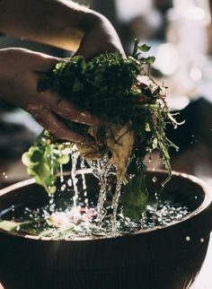 a person is pouring water into a bowl filled with greens and other things to eat