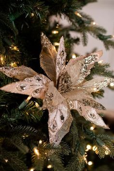 a close up of a christmas tree with lights on it's branches and a star ornament hanging from the top