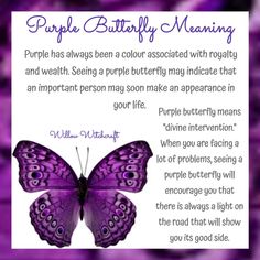 a purple butterfly with the words purple butterfly meaning on it's back and side